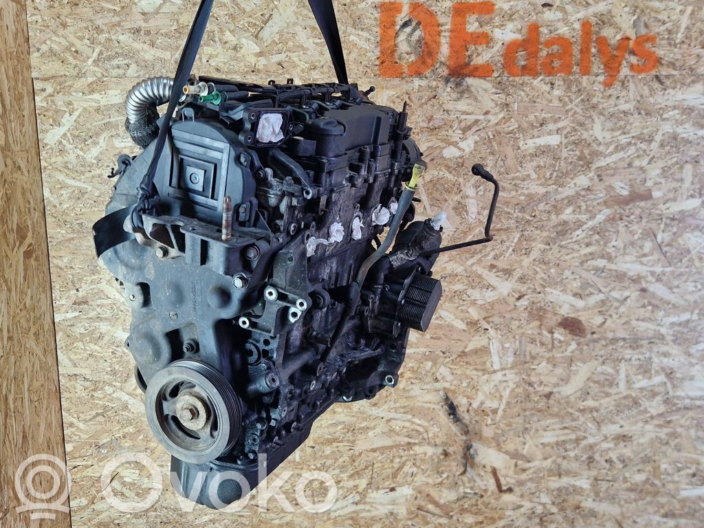 Ford Focus Motor 
