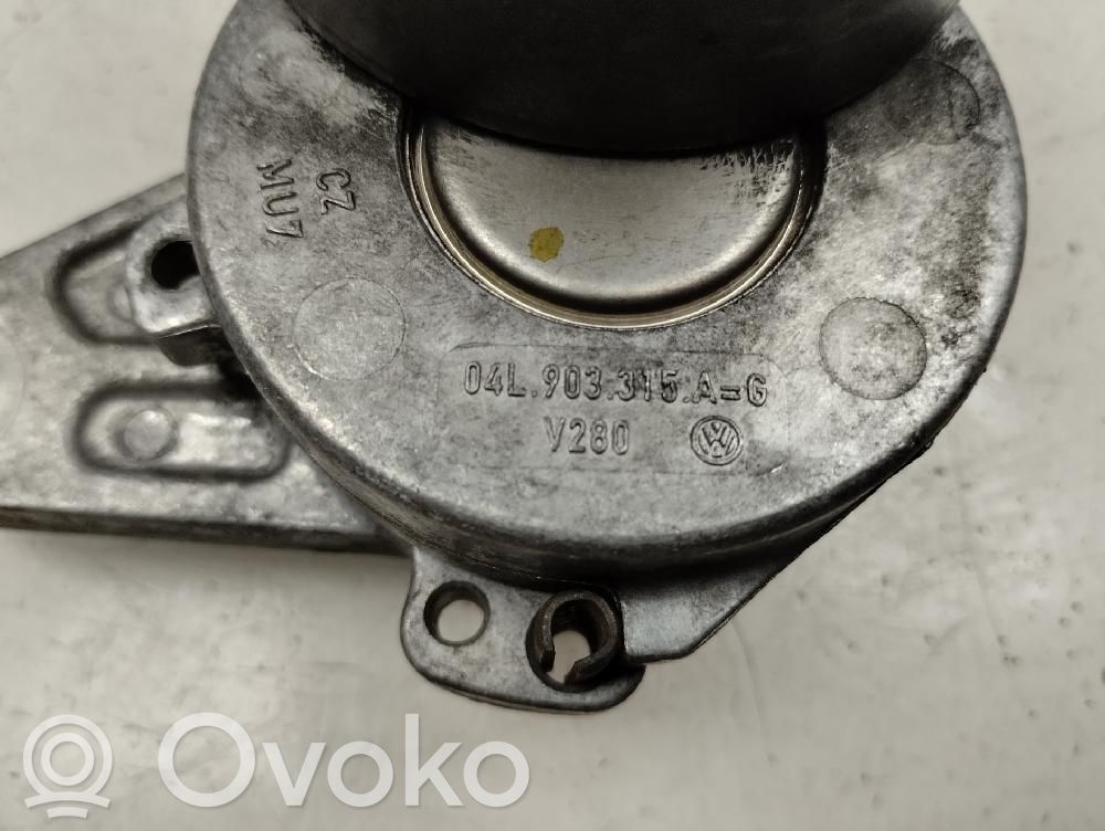 Volkswagen Tiguan Întinzător curea generator/alternator