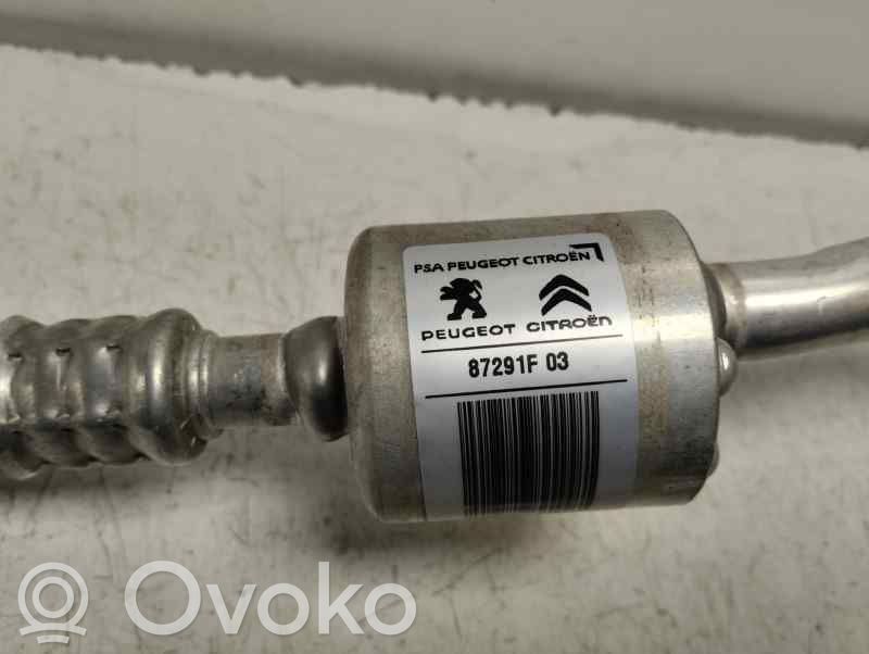 Ilmastointilaitteen putki (A/C)   9825231580