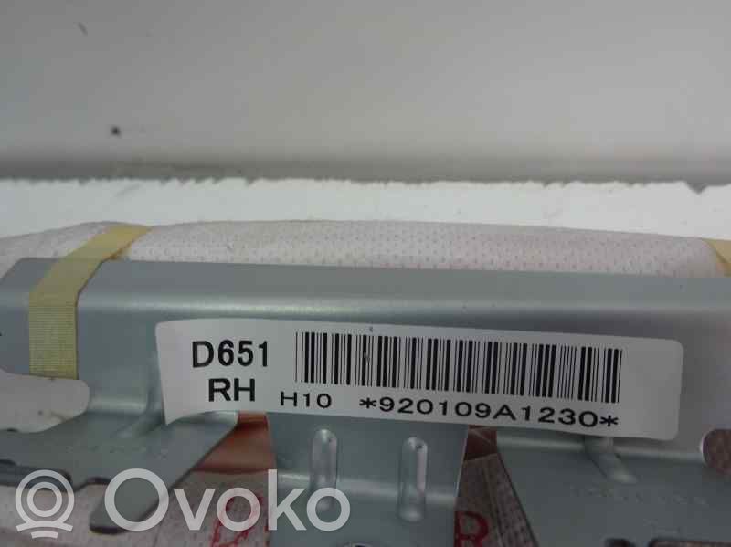 Kopfairbag   D651