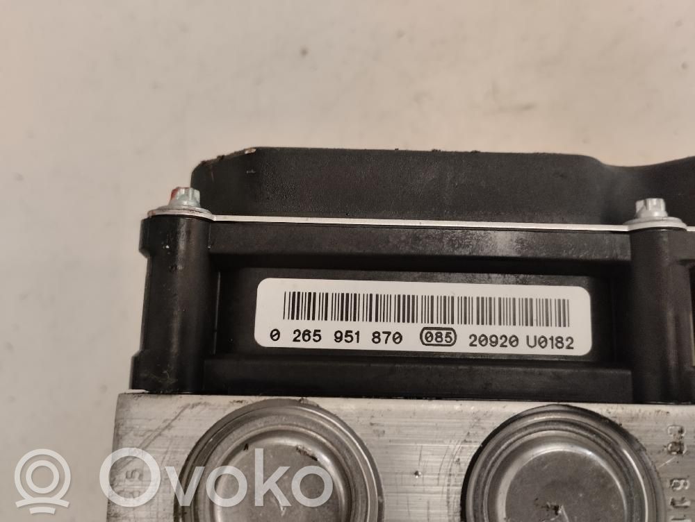 Pompă ABS   0265252070
