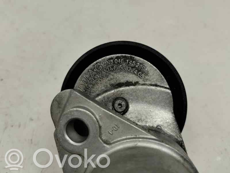 Seat Ibiza IV (6J,6P) Tendicinghia generatore/alternatore