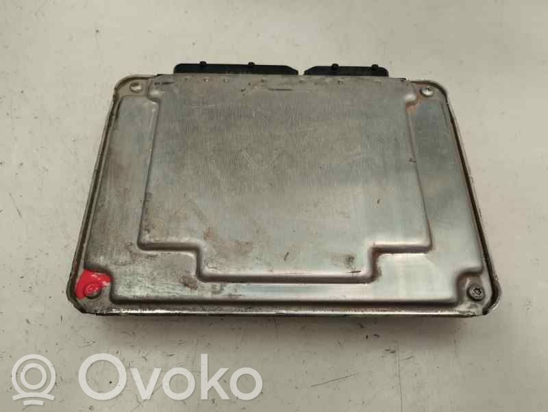 Seat Ibiza III (6L) Centralina/modulo del motore