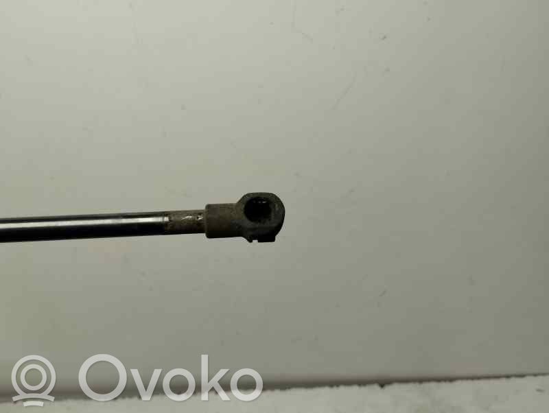 Seat Ibiza IV (6J,6P) Ammortizzatore portellone posteriore/bagagliaio