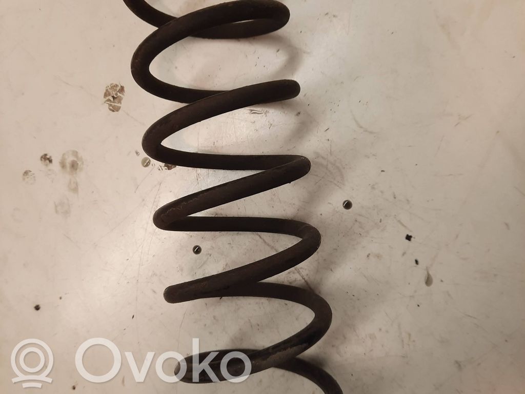 Rear coil spring