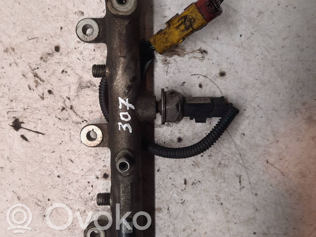 Peugeot 307 Polttoainepääputki 