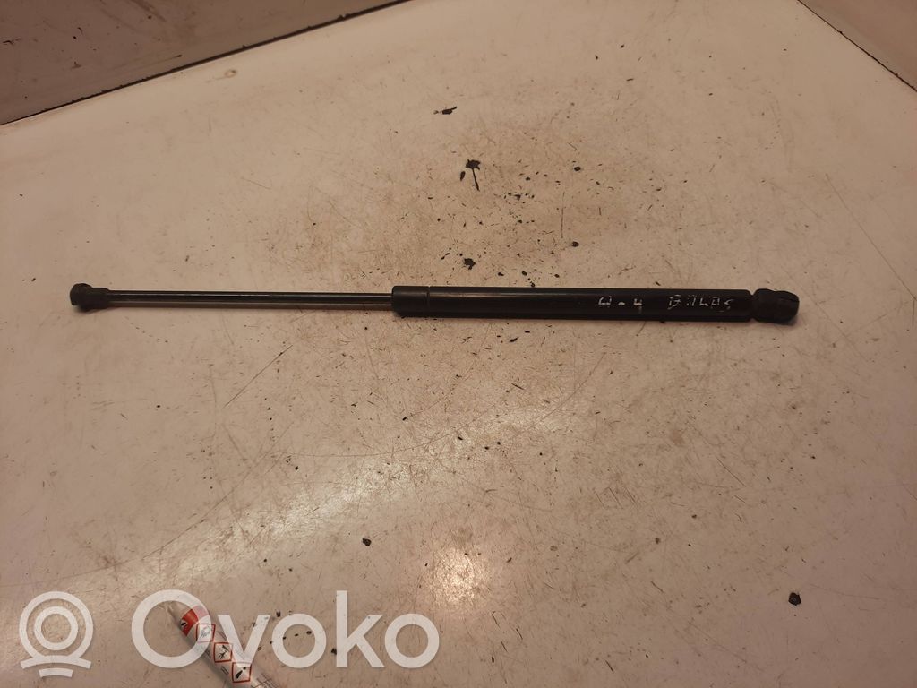 Tailgate/trunk strut/damper