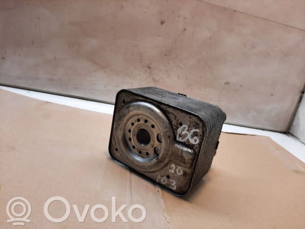 Volkswagen PASSAT B6 Mocowanie / uchwyt filtra oleju 