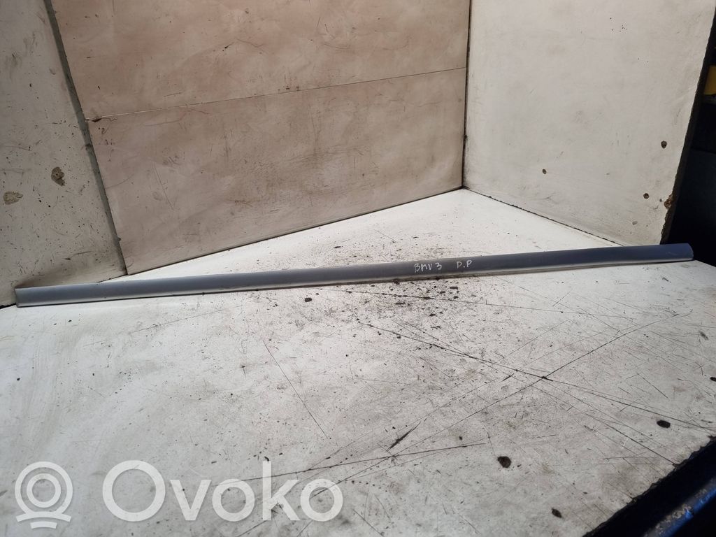 BMW 3 E46 Front door trim (molding) 