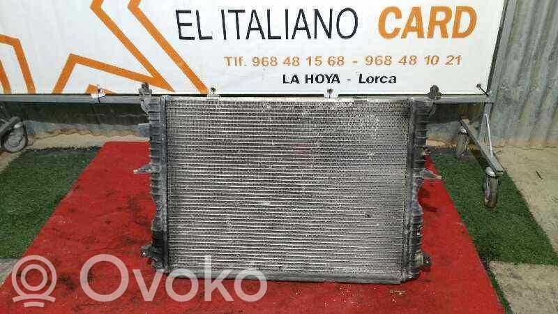 Land Rover Discovery Coolant radiator 