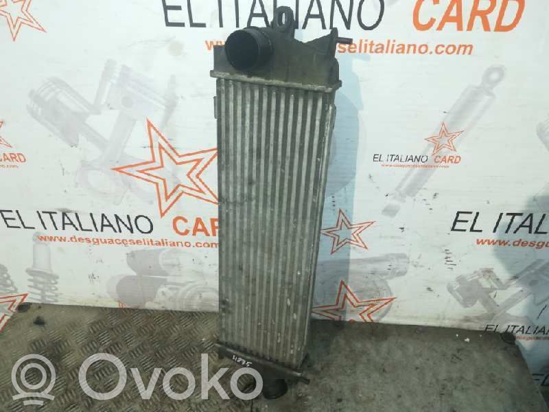 Intercooler radiator   4875