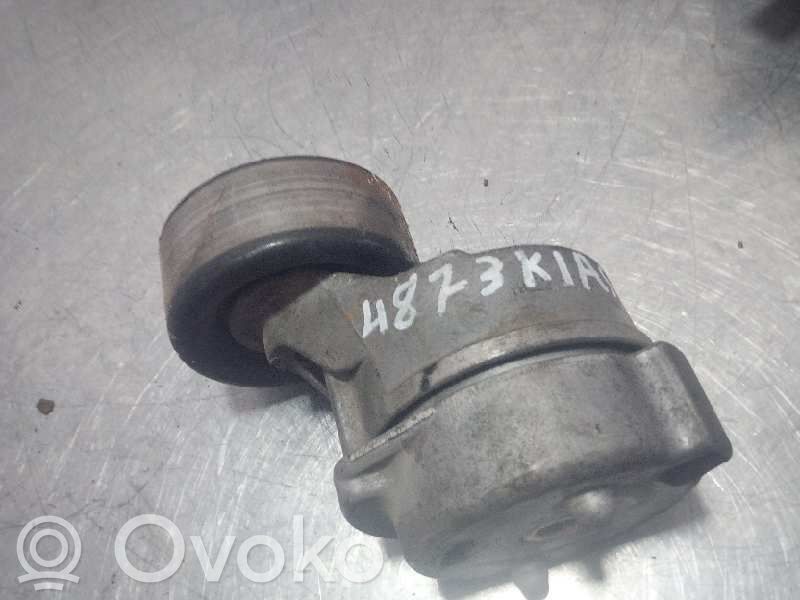 Tensor de correa del alternador   4873