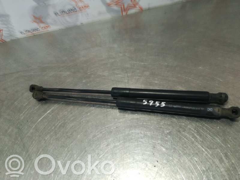 Renault Kangoo II Front bonnet/hood damper/strut 