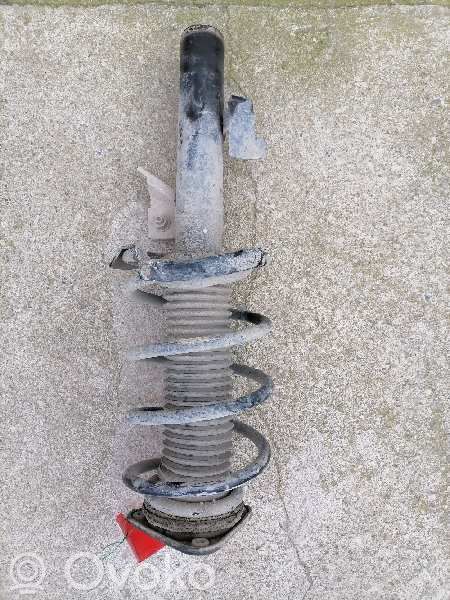 Front shock absorber with coil spring