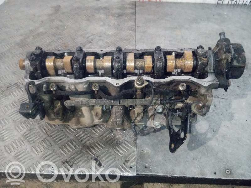 Galvutė   6033