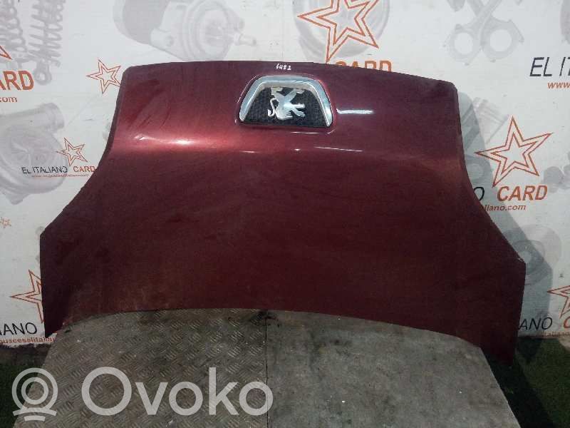 Motorhaube   6482