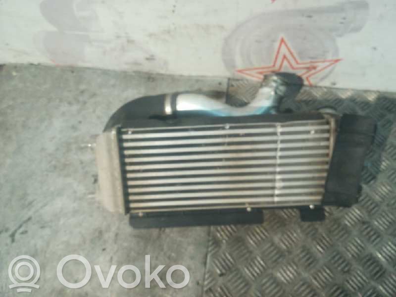 Intercooler radiator   7041