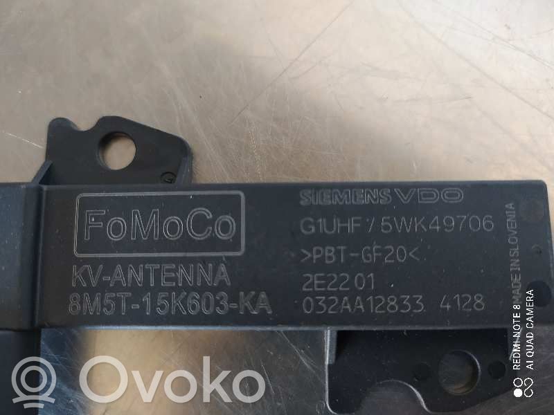 Ford Focus Radion antenni 