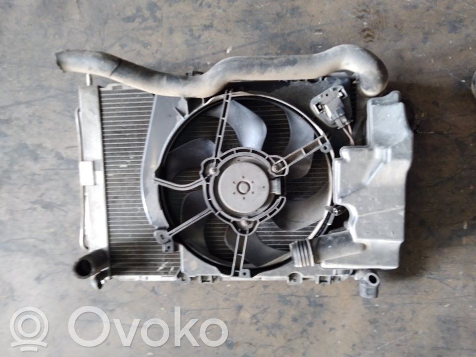 Renault Clio III Aušinimo skysčio radiatorius 