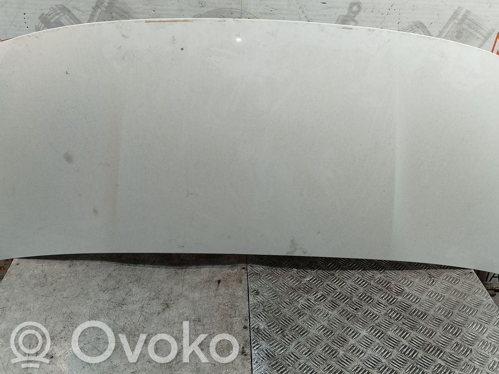 Engine bonnet/hood