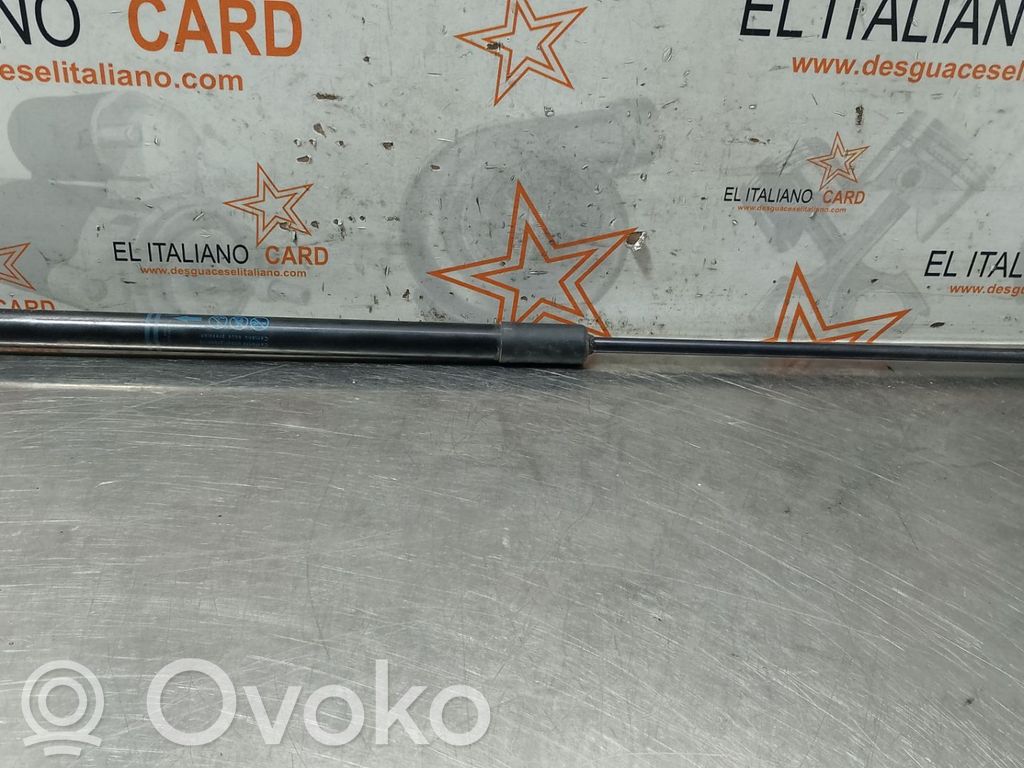 Tailgate/trunk strut/damper   7337550260N