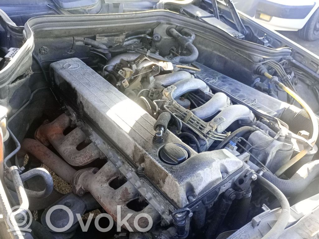 Motor   603912