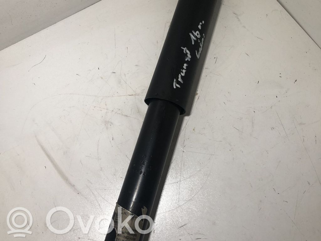 Amortyzator tylny   FK2118080CB