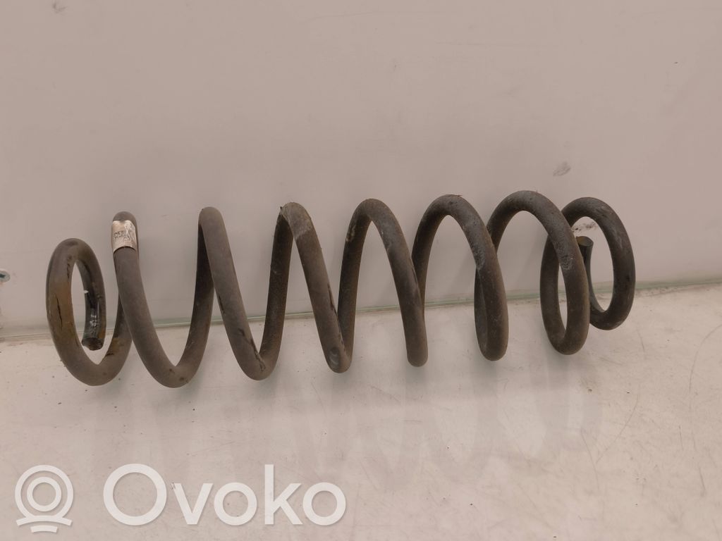 Volkswagen Tiguan Rear coil spring 