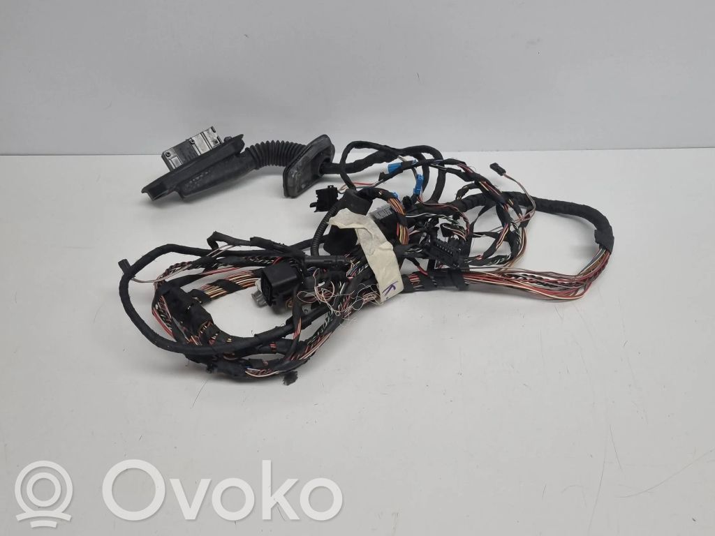 BMW 7 F01 F02 F03 F04 Cablaj ușă spate 