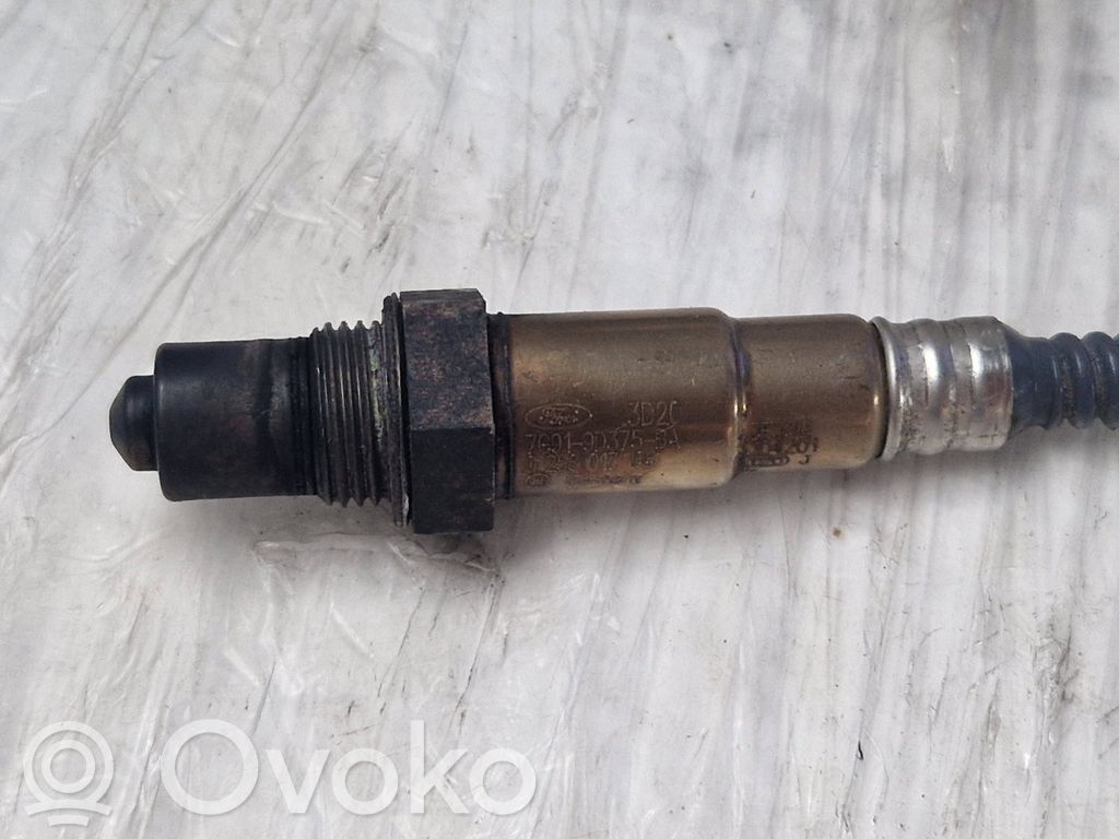 Зонд «Lambda»   7G919D375BA,3D20,0258017186