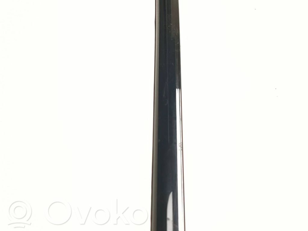 Listwa / Uszczelka szyby drzwi tylnych   61085871,7185232