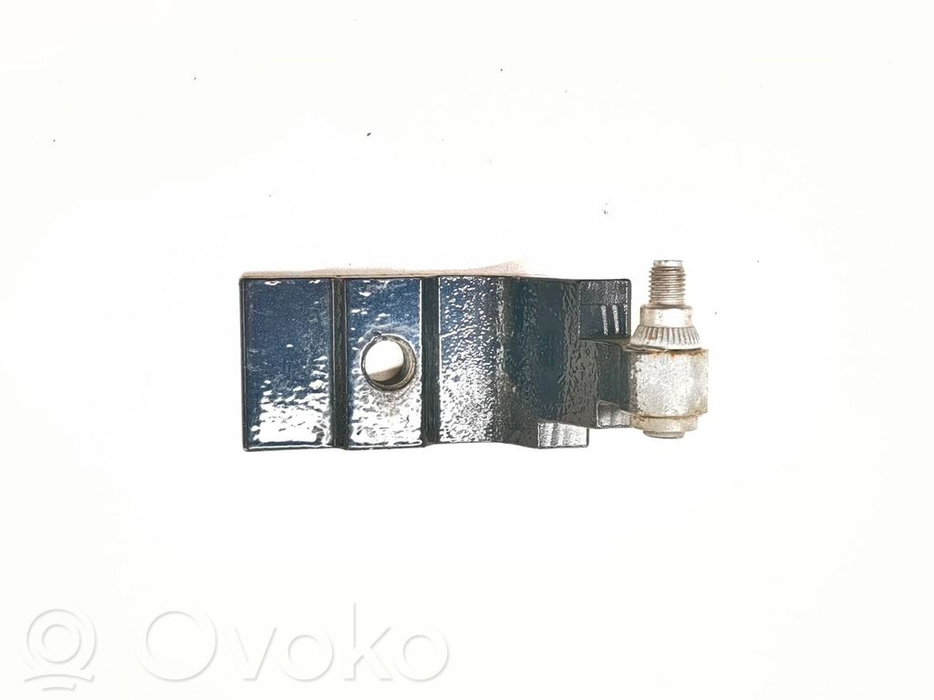 BMW X5 E70 Rear door lower hinge 