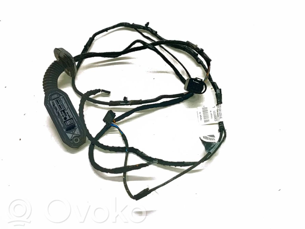 BMW 5 E60 E61 Cableado de puerta trasera 