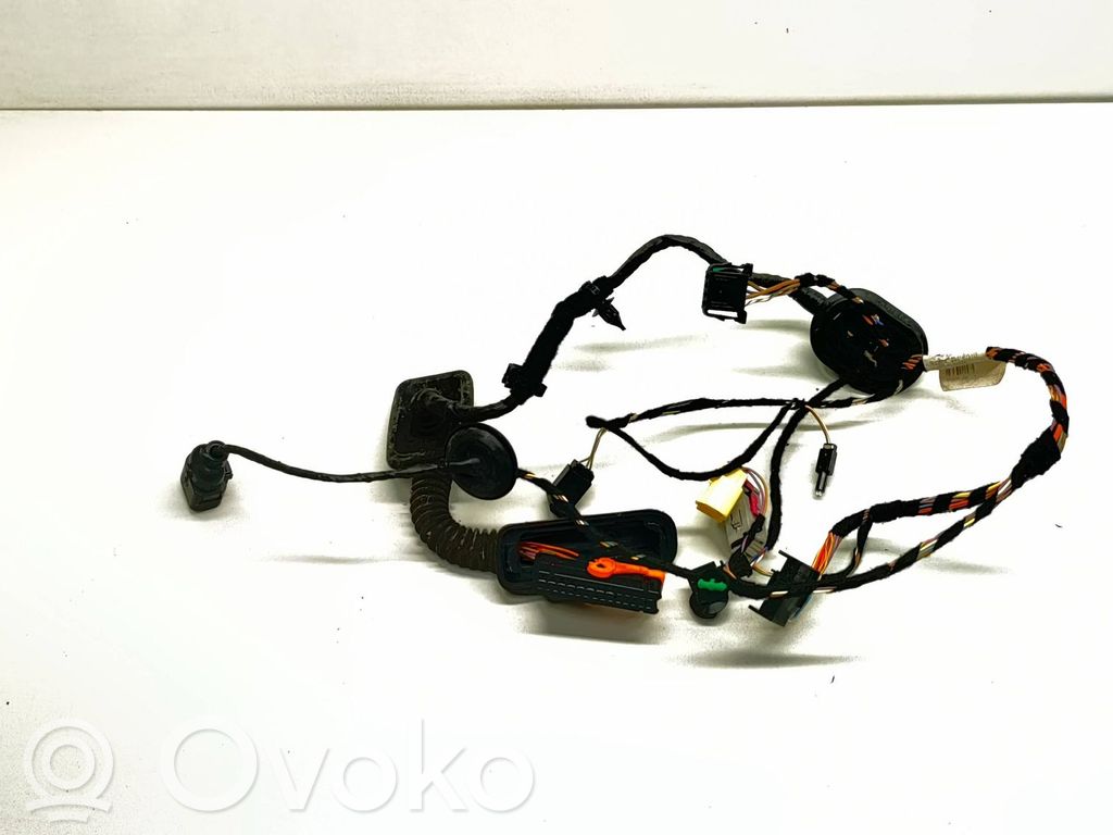 Volkswagen Tiguan Cableado de puerta delantera 