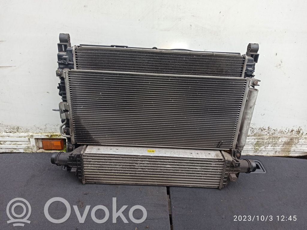 Radiator set   F00S3D2027,95081734