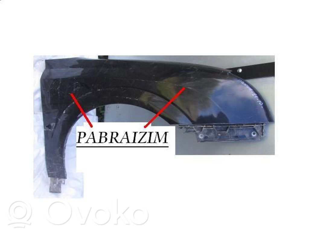 Parafango