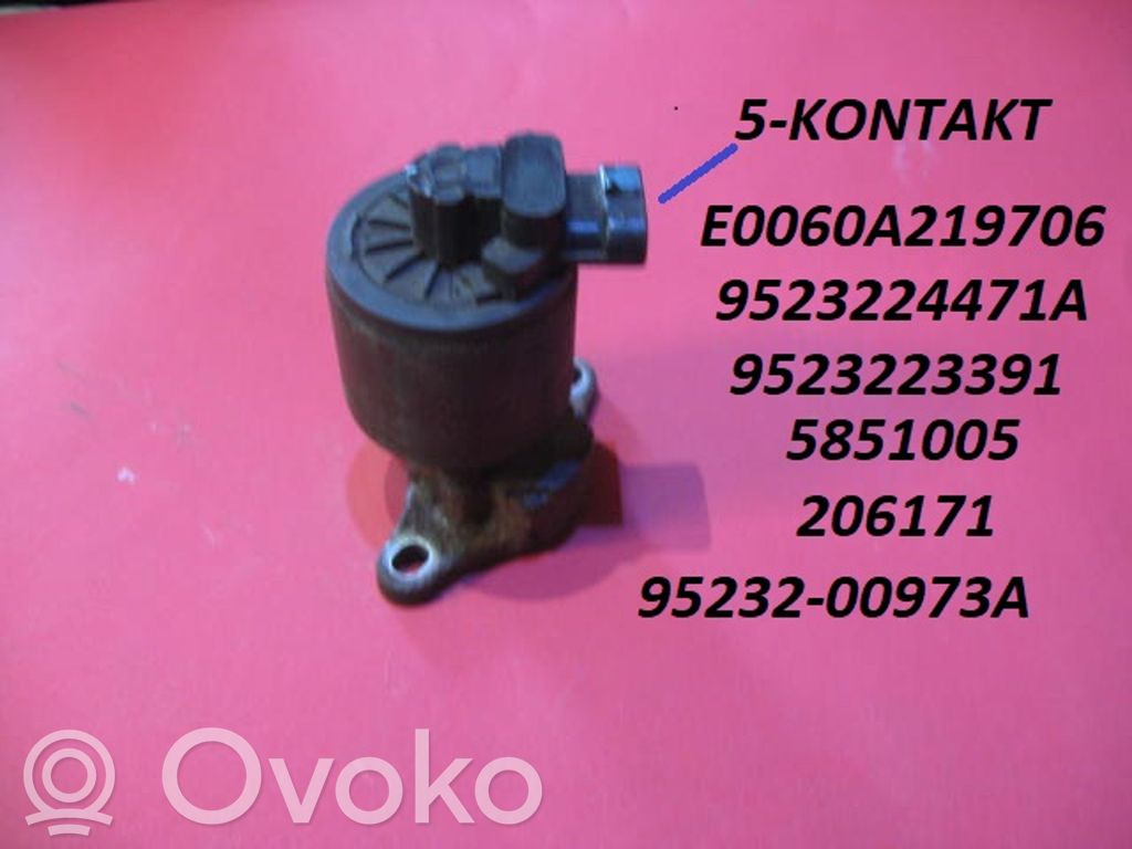Válvula EGR   E0060A219706,9523223391,5851005,9523200973A,9523224471A