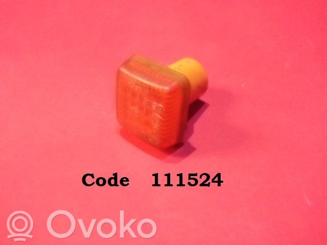 Seitenblinker   111524