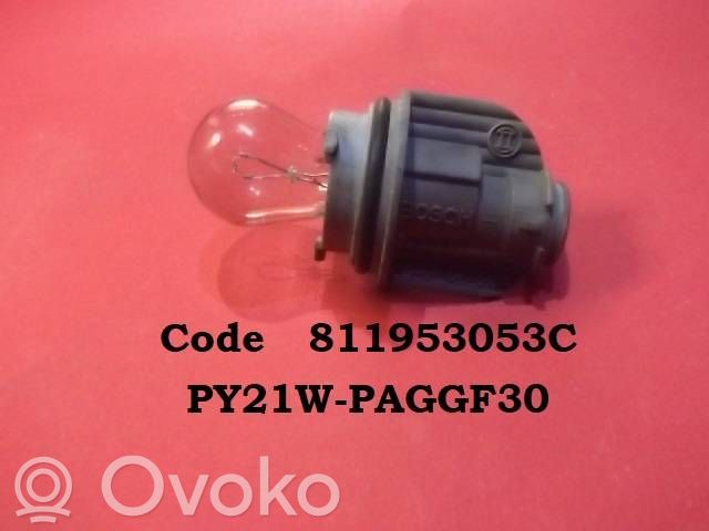 Volkswagen PASSAT B5 Front indicator light 
