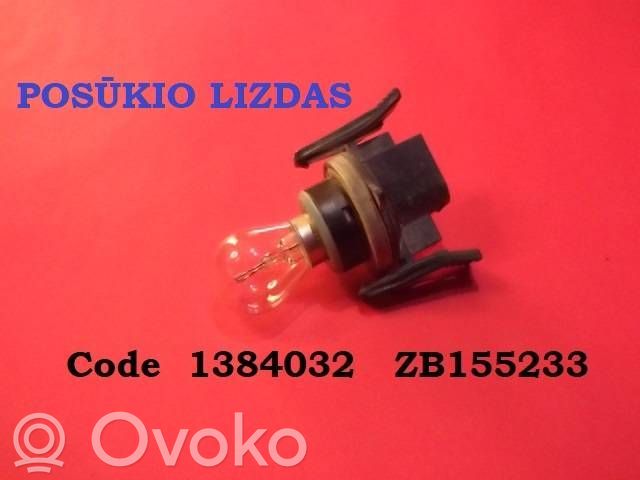Front indicator light   1384032,ZB155233