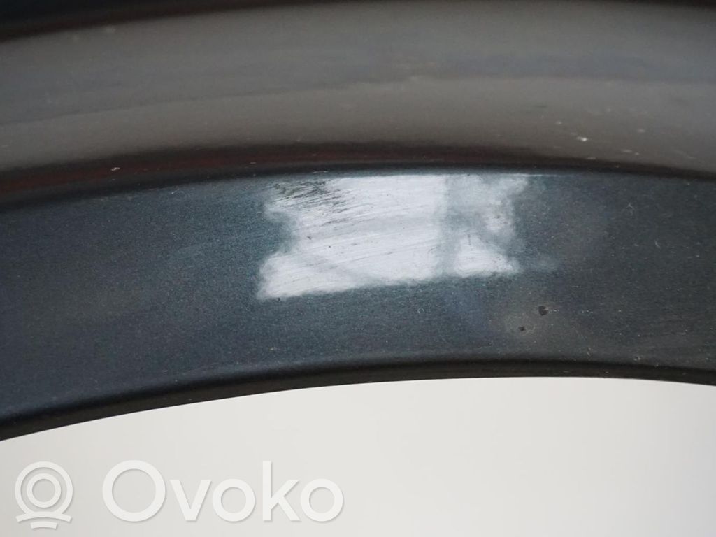 Guardabarro   5P0821022A