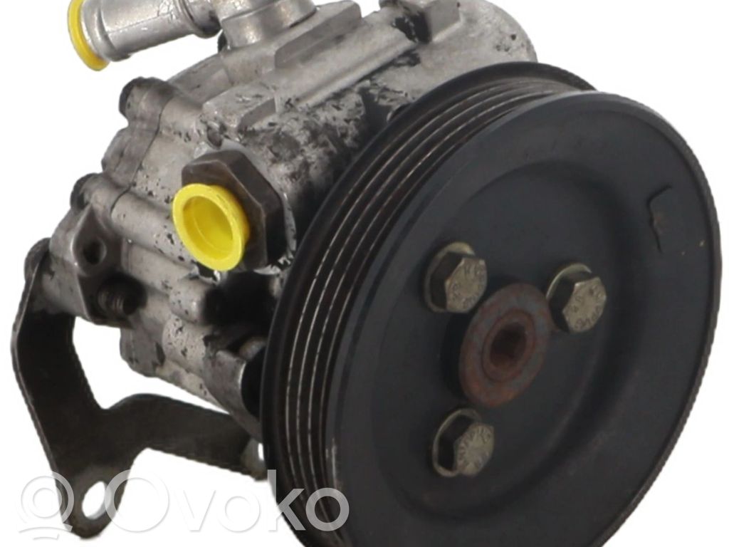 BMW 5 E39 Power steering pump 