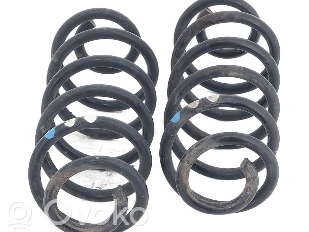 Rear coil spring