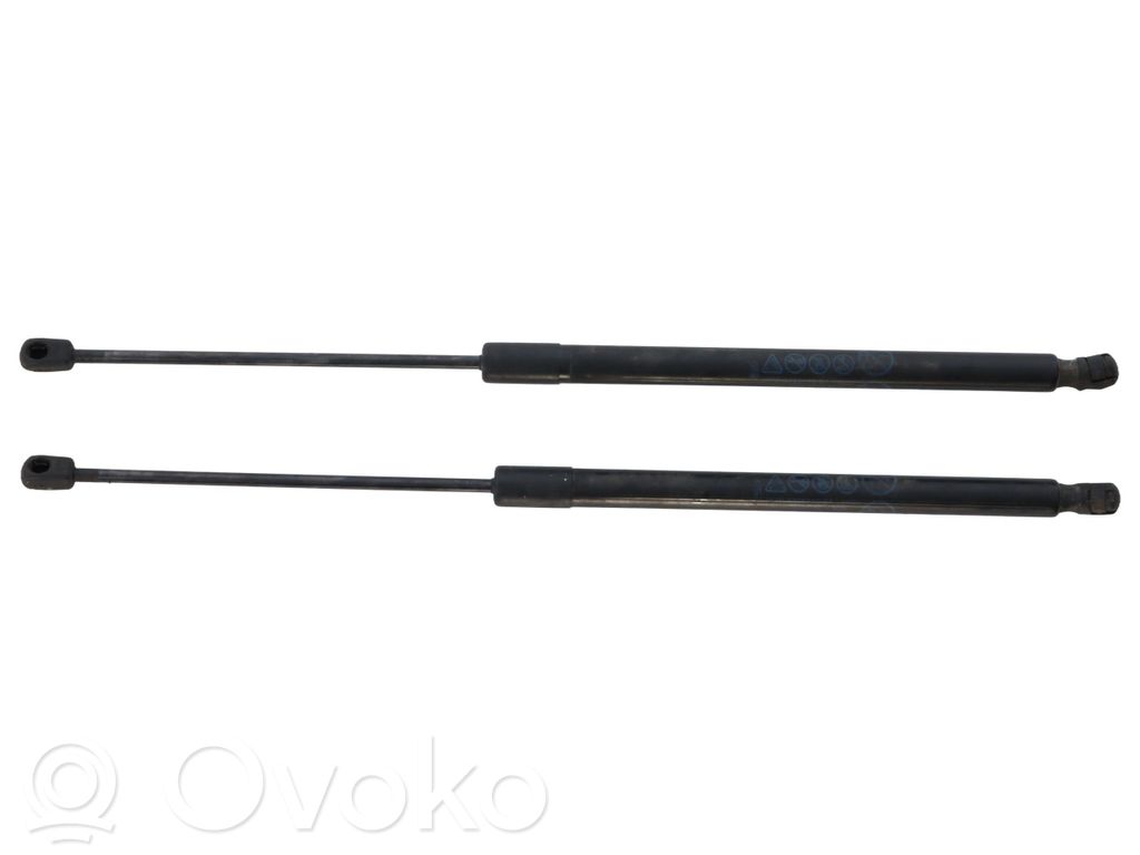 Tailgate/trunk strut/damper