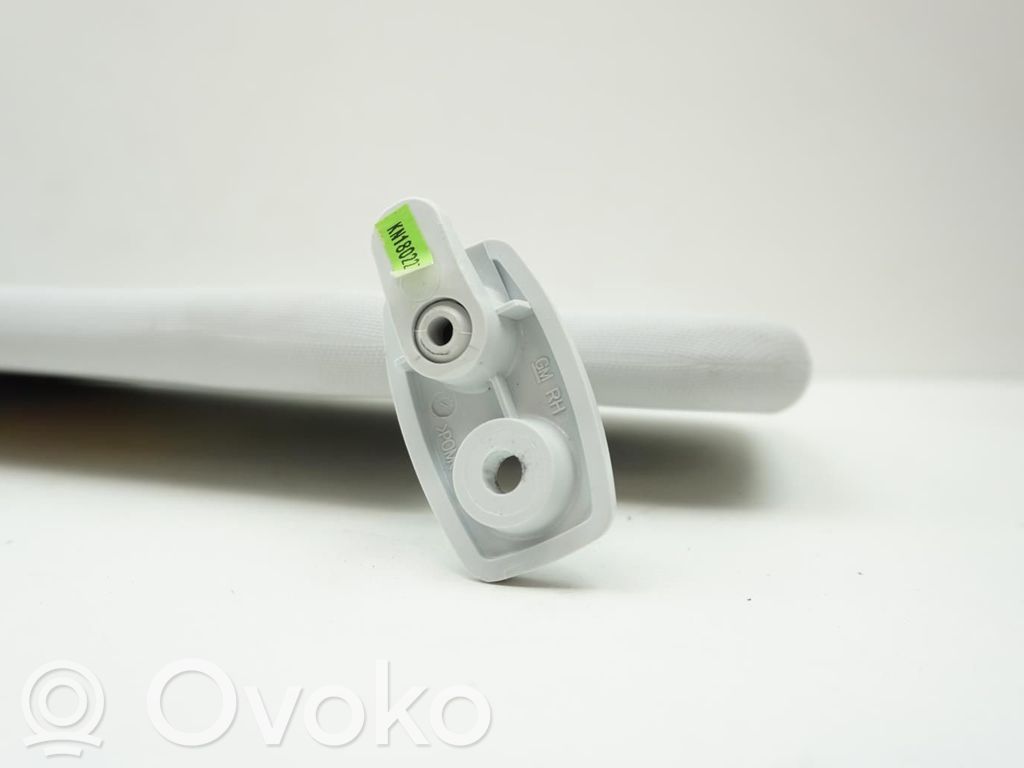 Sun visor   39179419