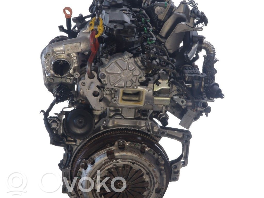 Motor   0135SW