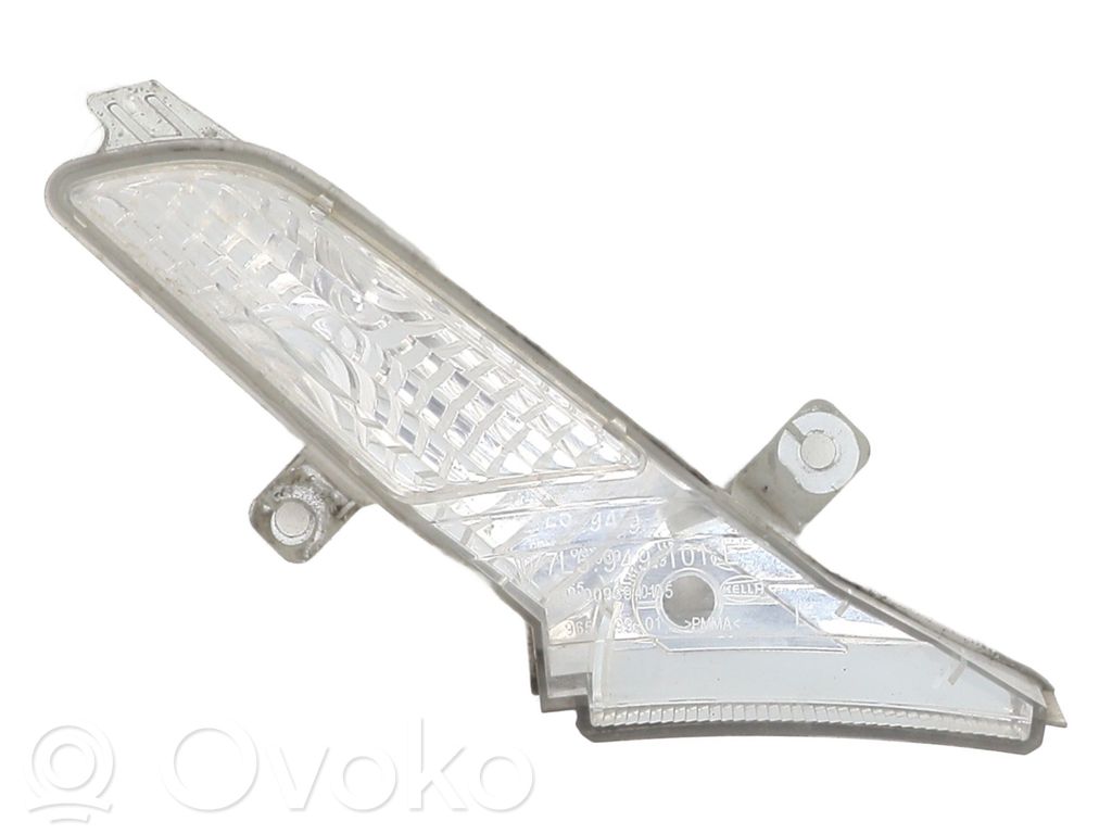 Porsche Cayenne (9PA) Frontblinker 