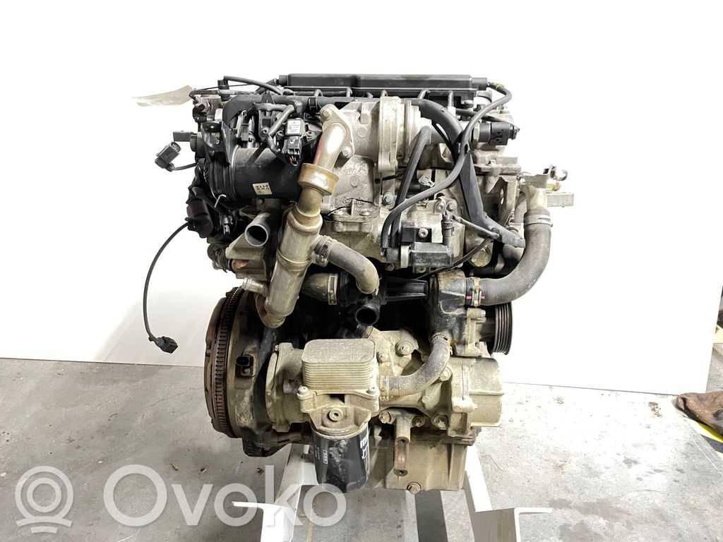 Motor