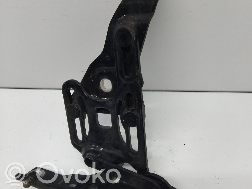 BMW X6 E71 Engine bonnet/hood hinges 