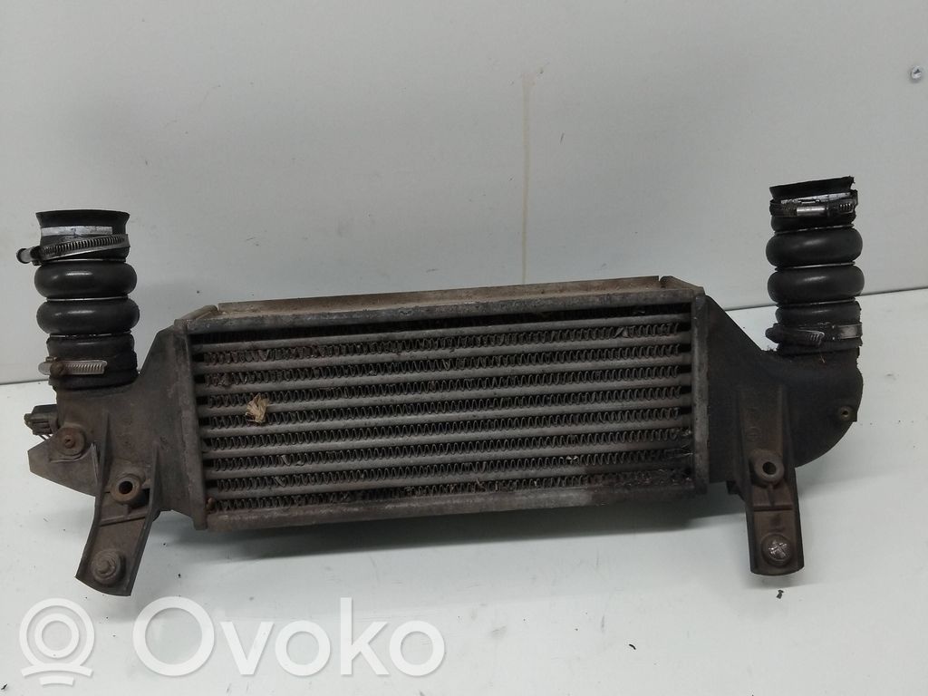 Interkūlerio radiatorius   XS4Q9L440BD